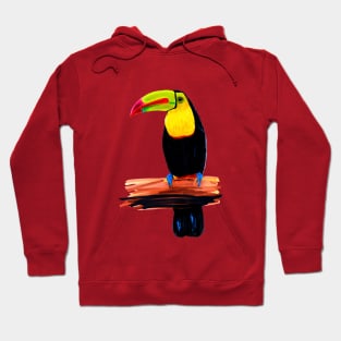 Toucan Hoodie